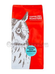 Кофе Owl в зернах Sumatra Gayo Mountain 1 кг