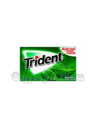 Жевательная резинка Trident Spearmint Мята