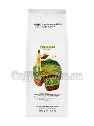 Кофе Le Piantagioni del Caffe (Ле Пьянджиони Дель Каффе) в зернах Yrgalem 500 гр