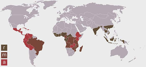 Страны, где выращивают кофе (цветами обозначены различные виды выращиваемых зерен)